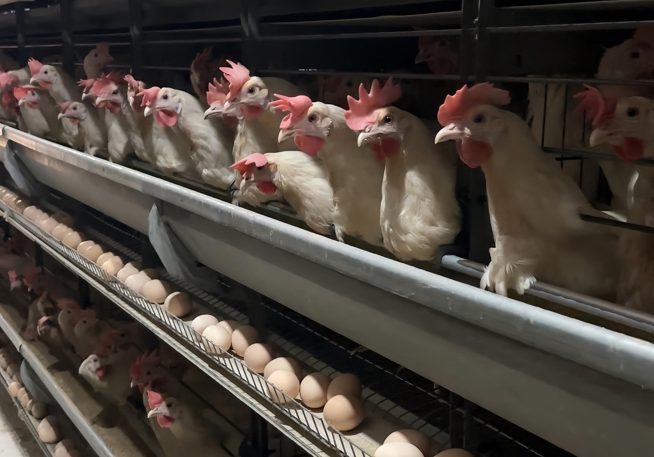 Ishlab chiqarish zavodi